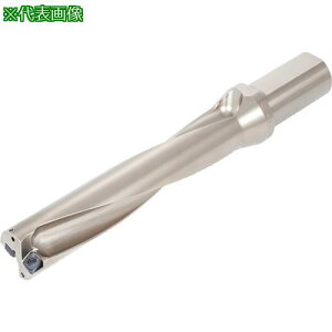 ���^���K���C �^���O�h�����c�C�X�e�b�h TDX-F(L/D=5)�k�i��:TDX170F205�l�y2258713:0�z[�����ʓr���ς�][�f�O���][�X�����s��]