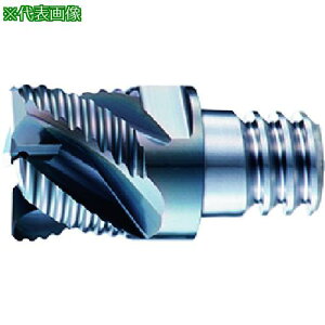 ��OSG PHOENIX �w�b�h�������G���h�~�� PXM ���t�B���O�^�C�v 7830463�k�i��:PXMPXNH200C2004C006O�l�y2272259:0�z[�����ʓr���ς�][�f�O���][�X�����s��]