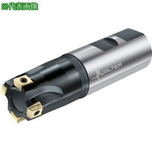 ��Walter �����J�b�^�[�k�i��:F5041.W25.025.Z03.08�l�y2281432:0�z[�����ʓr���ς�][�f�O���][�X�����s��]