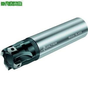 ��Walter �����J�b�^�[�k�i��:F5041.Z25.025.Z03.08�l�y2283021:0�z[�����ʓr���ς�][�f�O���][�X�����s��]