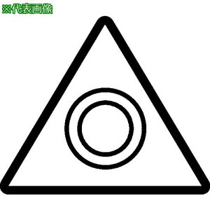 Walter Vki:AP317TC1612ly2284321:0z[ʓrς][fO][Xs]