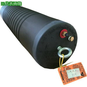 KANTOOL rǑ|@pP[u ACEeXg{[200-400mmki:310168ly2285261:0z[@lEƏ][O][Xs]