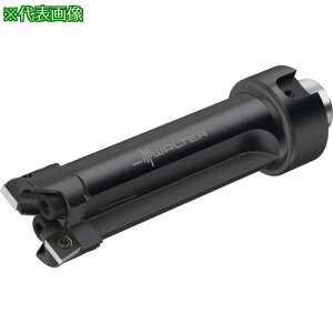 ��Walter 2���n�{�[�����O�H��k�i��:B3221.N2.026033.Z2.CC06�l�y2287554:0�z[�����ʓr���ς�][�f�O���][�X�����s��]