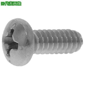 ��SUNCO �O���u���b�N(+)UNC(PAN #4-40×5/8 (1000�{��)�k�i��:000000307040805004�l�y2302653:0�z[�����ʓr���ς�][�f�O���][�X�����s��]