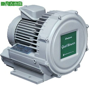 �����a �d�������@ �Q���������V���[�Y �K�X�g�u���A�V���[�Y(0.3kW)�k�i��:U2V30T�l�y2387395:0�z[�����ʓr���ς�][�@�l�E���Ə�����][����][�X�����s��]