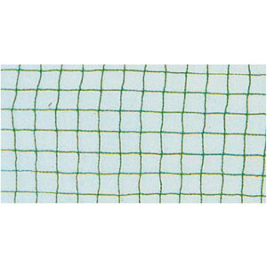 O[NX O[lbg 5×10Mki:1138200101ly2389727:0z[ʓrς][@lEƏ][O][Xs]