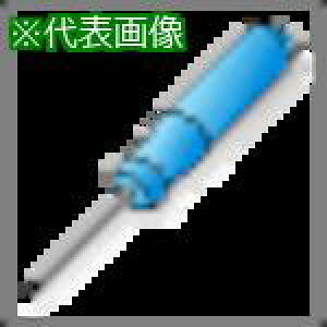 ���C�X�J�� ���i �g���N�X�L�[�k�i��:T751�l�y2399056:0�z[�X�����s��]