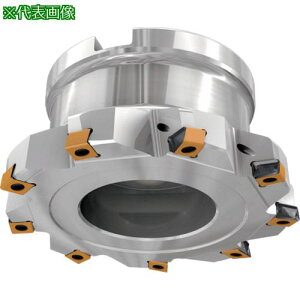 ���C�X�J�� �t���C�X�H�� �^���O�t�B�� �n��8�� �n�a100.0mm �V�����N�amm�k�i��:HTFD1000831.75RLN10�l�y2407080:0�z[�����ʓr���ς�][�@�l�E���Ə�����][�f�O���][�X�����s��]