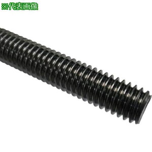 ���R�m�G ���؃{���g �S ���n 12×400�s10�{���t�k�i��:ZBSS12400�l�y2409859×10:0�z[�����ʓr���ς�][�f�O���][�X�����s��]