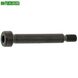 ��SUNCO GOSHO�V�����_�[BT ST�^�C�v 10 X 25 (100�{��)�k�i��:A000601G0100025000�l�y2410394:0�z[�����ʓr���ς�][�f�O���][�X�����s��]
