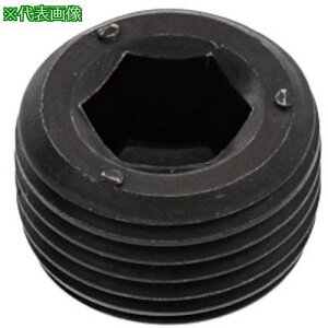 ��SUNCO �v���O(����NPTF DB 1/2 (100�{��)�k�i��:A00057408040000000�l�y2413549:0�z[�����ʓr���ς�][�f�O���][�X�����s��]