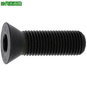 SUNCO SUSTCAP 3×15 (500{)ki:A00220000030015000ly2417018:0z[ʓrς][fO][Xs]