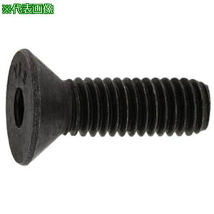 ��SUNCO SUS�T��CAP(UNC #6-32×7/16 (100�{��)�k�i��:A00220307060803500�l�y2418547:0�z[�����ʓr���ς�][�f�O���][�X�����s��]