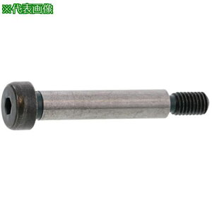 ��SUNCO GOSHO�V�����_�[BT SH�^�C�v 8 X 55 (100�{��)�k�i��:A000600G0080055000�l�y2419783:0�z[�����ʓr���ς�][�f�O���][�X�����s��]
