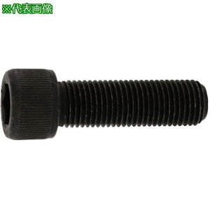 ��SUNCO �X�e��CAP(UNF #10-32×5/8 (100�{��)�k�i��:A00200407100805000�l�y2421690:0�z[�����ʓr���ς�][�f�O���][�X�����s��]