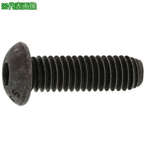 ��SUNCO SUS �{�^��CAP (UNC #4-40×7/8 (100�{��)�k�i��:A00210307040807000�l�y2424787:0�z[�����ʓr���ς�][�f�O���][�X�����s��]
