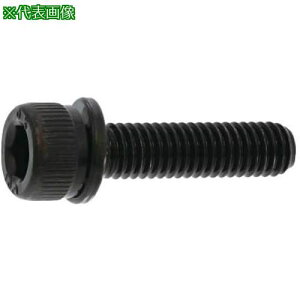 ��SUNCO 10.9CAP P=2 ����S�H���� 6 X 45 (100�{��)�k�i��:A000902J0060045000�l�y2429320:0�z[�����ʓr���ς�][�f�O���][�X�����s��]