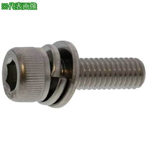 ��SUNCO BK �X�e��CAP I=3 6×60 (100�{��)�k�i��:A00291300060060008�l�y2431326:0�z[�����ʓr���ς�][�f�O���][�X�����s��]