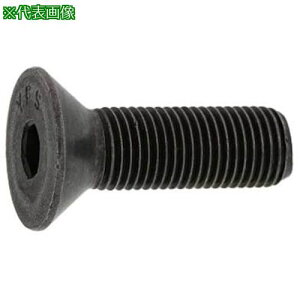 ��SUNCO SUS�T��CAP(UNF24���}5/16X1�h1/2(50�{��)�k�i��:A00220408025814000�l�y2433015:0�z[�����ʓr���ς�][�f�O���][�X�����s��]