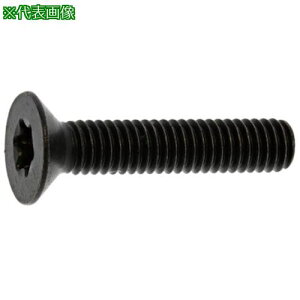 ��SUNCO �X�e�����X TORX-�T��CAP �VJIS 8×25 (200�{��)�k�i��:A002T2J00080025000�l�y2433492:0�z[�����ʓr���ς�][�f�O���][�X�����s��]