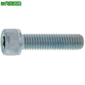 ■SUNCO ステンCAP(半 4×135 (300本入)〔品番:A00200000040135000〕【2434858:0】[送料別途見積り][掲外取寄][店頭受取不可]