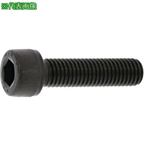 SUNCO CAP([V^Cg 6×10 (500{)ki:A000MT0N0060010000ly2436282:0z[ʓrς][fO][Xs]