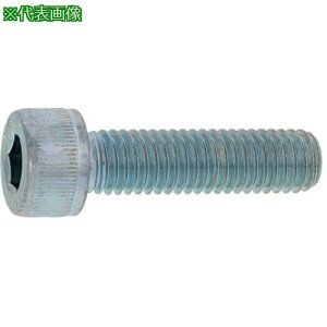 SUNCO XeCAP(H 18×50 (20{)ki:A002000C0180050000ly2436420:0z[ʓrς][fO][Xs]