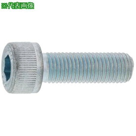 ■SUNCO ステンCAP(ホソメ(P 0.5 4 X 35 (200本入)〔品番:A00200040040035000〕【2436470:0】[送料別途見積り][掲外取寄][店頭受取不可]