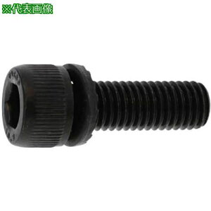 ��SUNCO 10.9GT-S CAP 3 X 15 (2000�{��)�k�i��:A0009S000030015000�l�y2437573:0�z[�����ʓr���ς�][�f�O���][�X�����s��]