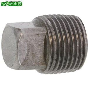 ��SUNCO BS�v���O �l�p�� R3/4-14×29 (50�{��)�k�i��:A00157208060000000�l�y2437724:0�z[�����ʓr���ς�][�f�O���][�X�����s��]