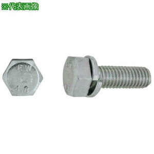 ��SUNCO �N����-�g EW4.8�g���[�}P=2 �i�a�e���� 8×20 (180�{��)�k�i��:1100E0020080020002�l�y2469771:0�z[�����ʓr���ς�][�f�O���][�X�����s��]