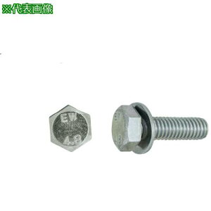 ��SUNCO �N����-�g EW4.8�g���[�}P=1 �i�a�e���� 6×16 (400�{��)�k�i��:1100E0010060016002�l�y2469789:0�z[�����ʓr���ς�][�f�O���][�X�����s��]