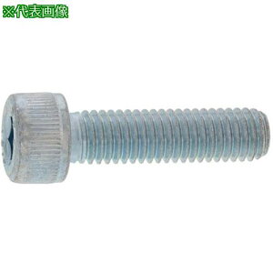 ��SUNCO �N����-�g CAP(TKS 16 × 65 (15�{��)�k�i��:A000000T0160065002�l�y2473559:0�z[�����ʓr���ς�][�f�O���][�X�����s��]