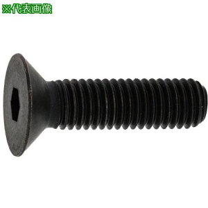��SUNCO �T��CAP(GOSHO 8×12 (200�{��)�k�i��:A000200G0080012000�l�y2473980:0�z[�����ʓr���ς�][�f�O���][�X�����s��]