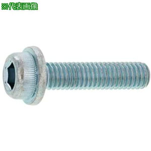 ��SUNCO �t�����WCAP 6×35 (100�{��)�k�i��:A000300M0060035000�l�y2474063:0�z[�����ʓr���ς�][�f�O���][�X�����s��]