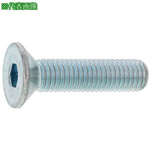 ��SUNCO �O���z���C�g �MCAP(���{�e�� 20×45 (15�{��)�k�i��:A000200B0200045003�l�y2477115:0�z[�����ʓr���ς�][�f�O���][�X�����s��]