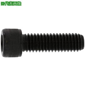 SUNCO CAP(UNC #4-40×5/16 (100{)ki:A00000307040802500ly2479892:0z[ʓrς][fO][Xs]