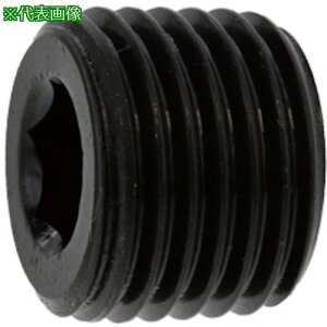 SUNCO vO(( PP4 PP4 1/4 (300{)ki:A000571C8020000000ly2482033:0z[ʓrς][fO][Xs]