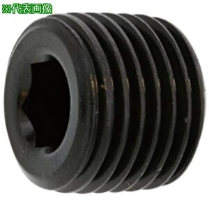 ��SUNCO �v���OA(���� PT 3/8 (200�{��)�k�i��:A00057008030000000�l�y2483610:0�z[�����ʓr���ς�][�f�O���][�X�����s��]