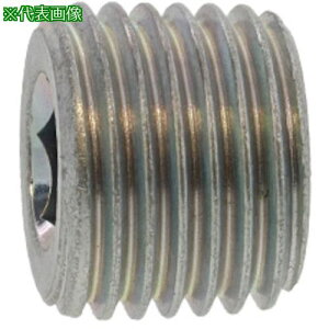 ��SUNCO �O���z���C�g �㑺 �v���O(���� R1/16-28 (1000�{��)�k�i��:A00056108005000003�l�y2485191:0�z[�����ʓr���ς�][�f�O���][�X�����s��]