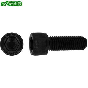 SUNCO CAP EGM 30 × 55 (15{)ki:A000000E0300055000ly2487722:0z[ʓrς][fO][Xs]