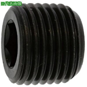 SUNCO vO(( PP2 PP2 3/8 (200{)ki:A000571L8030000000ly2488153:0z[ʓrς][fO][Xs]