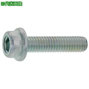 ��SUNCO �N����-�g �t�����W�\�P�b�g 6×35 (200�{��)�k�i��:A00030000060035002�l�y2489727:0�z[�����ʓr���ς�][�f�O���][�X�����s��]