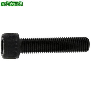 SUNCO CAP(SlW זP-1.25 10×75×75 (100{)ki:A00000140100075000ly2490799:0z[ʓrς][fO][Xs]