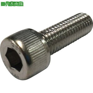 RmG Zpt{g SUS304CUN A2-100 S˂ 10x50s2{tki:CSA21001050ly2491835×2:0z[ʓrς][fO][Xs]