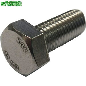 ���R�m�G �Z�p�{���g SUS304CUN A2-100 �S�˂� M12x30�s2�{���t�k�i��:BTA21001230�l�y2493541×2:0�z[�����ʓr���ς�][�f�O���][�X�����s��]