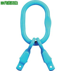 YOKE G-100 `F[߃TuNt}X^[NGrabEX(2{݂pEs^Cv) 7.5Tki:XA0513ly2498974:0z[Xs]