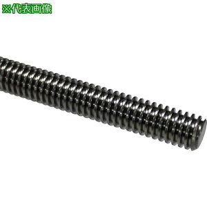 RmG 30x[g`lW(SUS304EE˂) TR16×320ki:SNTR16320ly2502507:0z[ʓrς][fO][Xs]