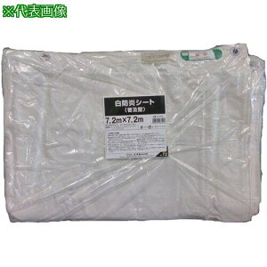 ^JCN hV[gy^ 7.2m×7.2mki:B524ly2504919:0z[Xs]