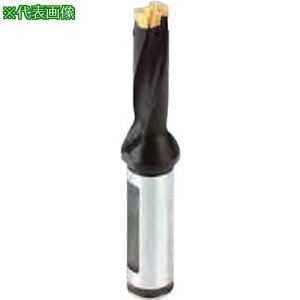 ���C�X�J�� �J���h���� �w�b�h�������h�����z���_ DCM-5D�k�i��:DCM16008020A5D�l�y2512190:0�z[�����ʓr���ς�][�f�O���][�X�����s��]